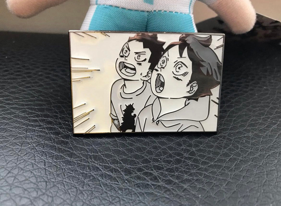 IwaOi Panel